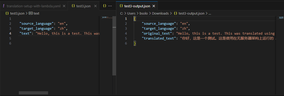Translated Output Screenshot