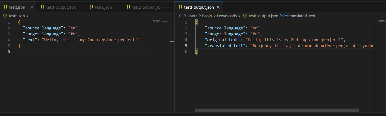 Translated Output Screenshot